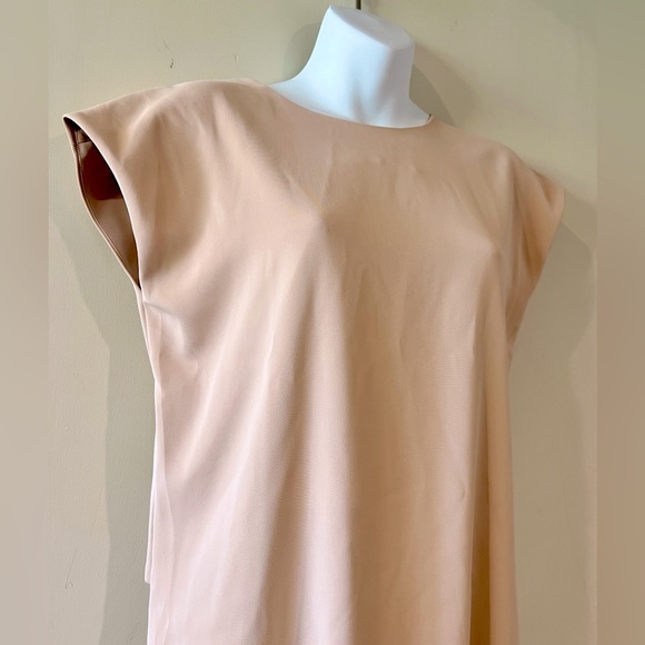 Adam Lippes Drape Back Shift Dress - Picture 7 of 11